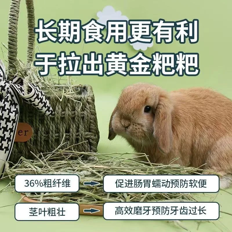 美国进口赛级晒干一番提摩西草 半杆半叶 龙猫荷兰猪磨牙草