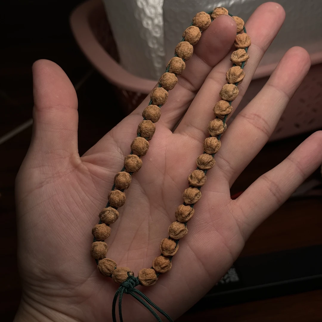热振柏香籽红皮金蝉蛇