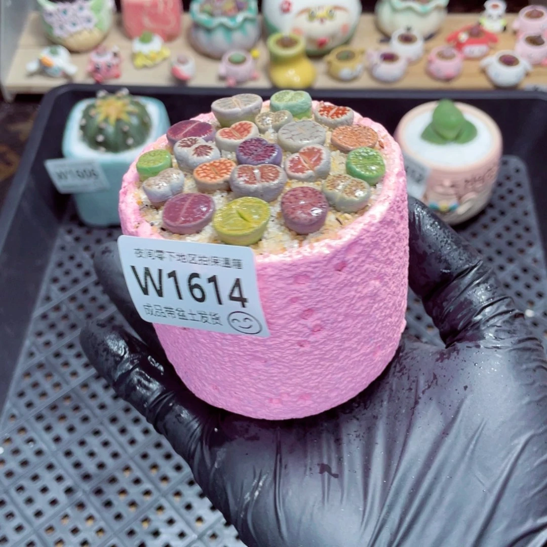 夜间零下地区拍保温箱w1614