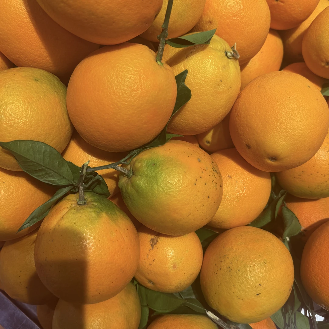 赣南脐橙85果5斤装