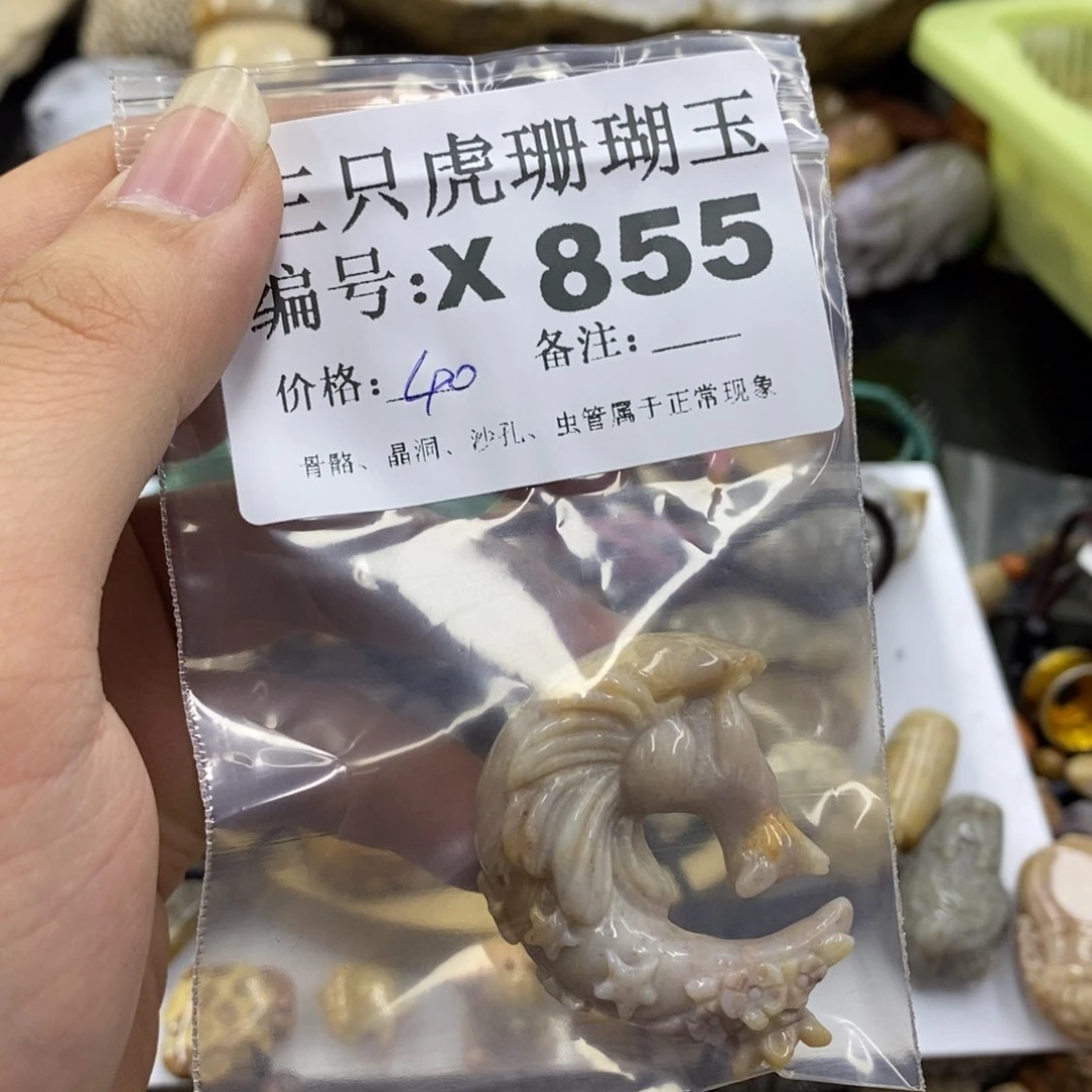 硅化珊瑚（珊瑚玉）X未镶嵌静**开