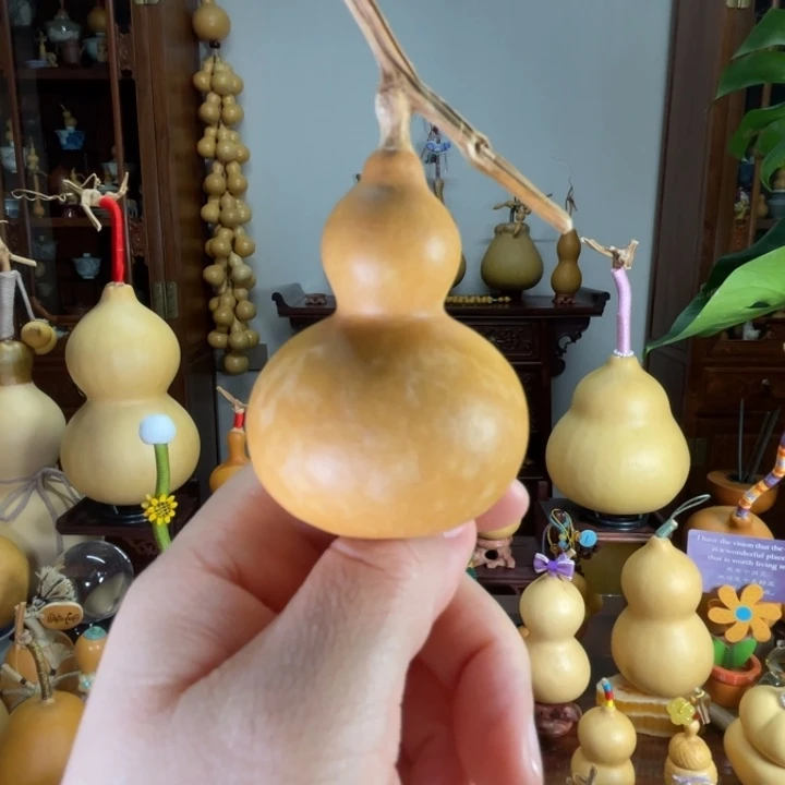 满籽福福葫芦微花叶