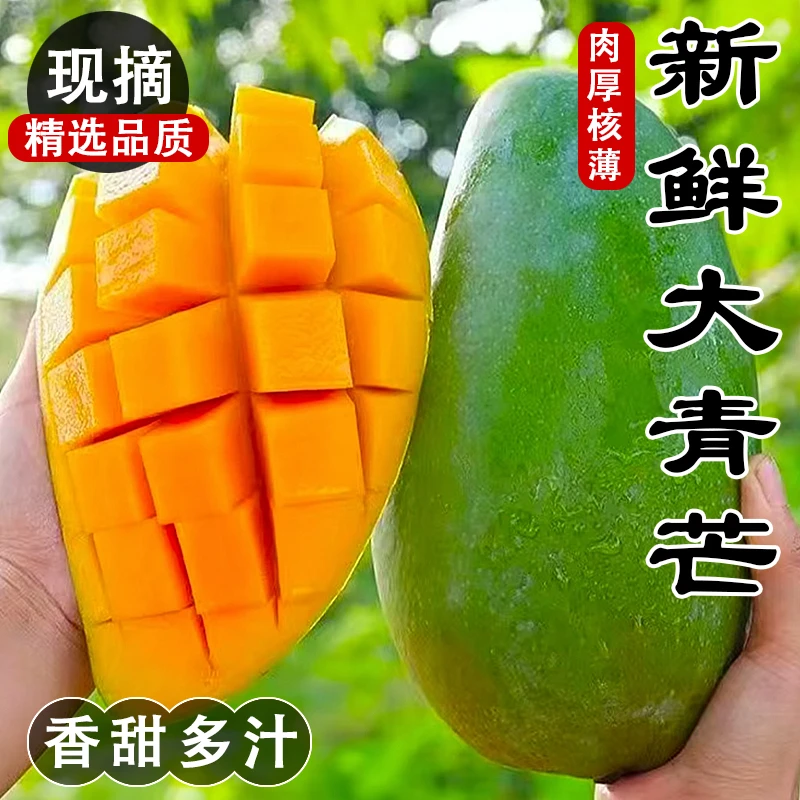 【坏果包赔】云南西双版纳大青芒果新鲜采摘爆甜金煌芒皮薄肉厚无筋