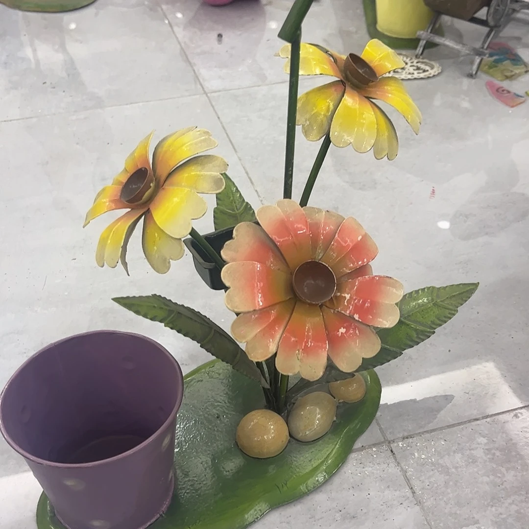 孤品给力哈哈哈哈