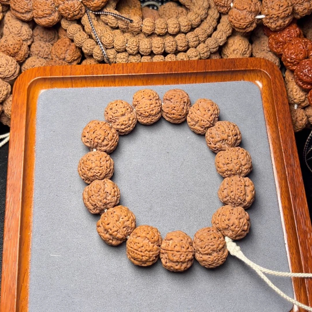 菩提8号尼泊尔大金刚23满肉五星梅花蜂窝