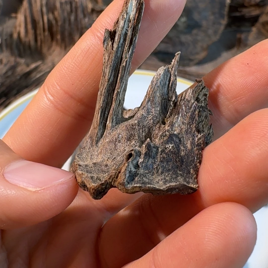 炊***烟沉香沉香碎屑香港精品树心吊齿一块2.8