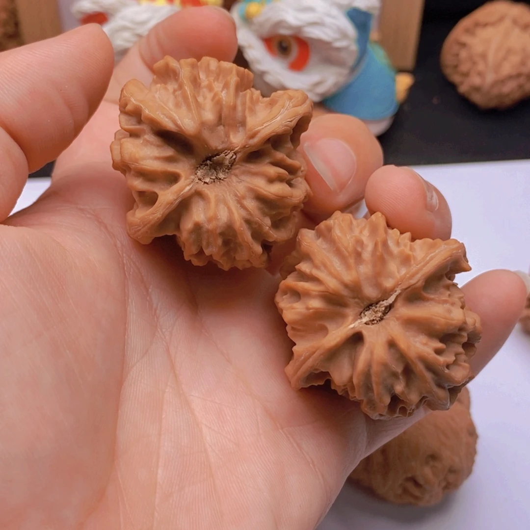 凉***柿40尺老树曹大龙老树A502
