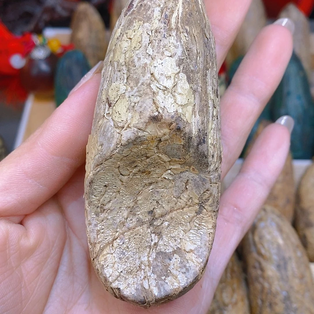 木菩提 千眼菩提异性手磨