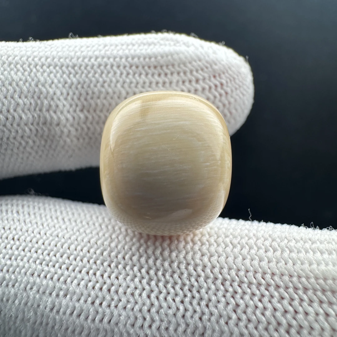 K5634天然猛犸墩子扣子16*13.5mm一物一图假一罚十