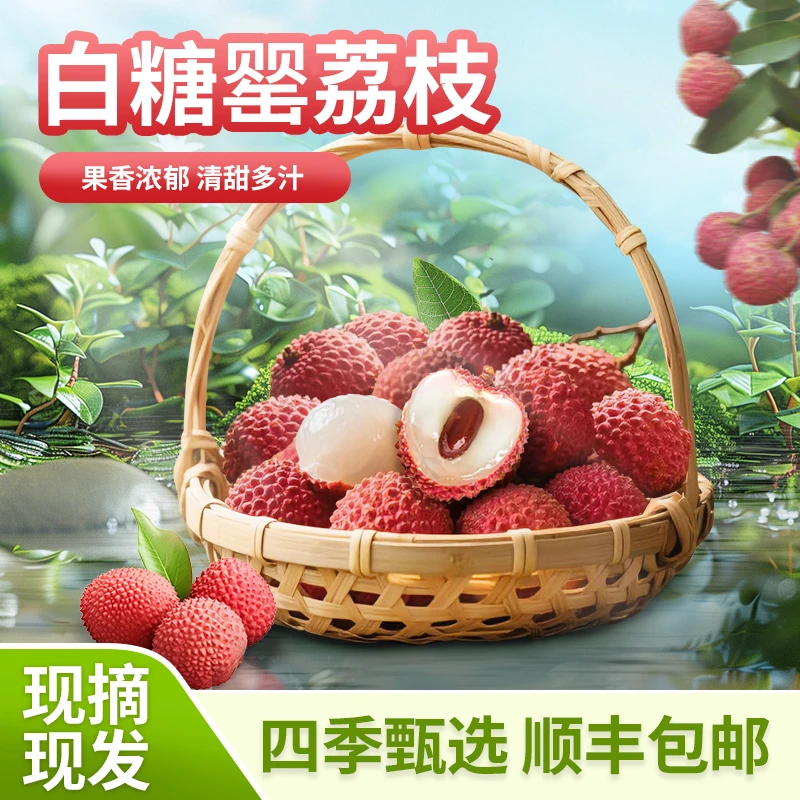 【顺丰冷藏】正宗广东高州白糖罂荔枝 清甜多汁 现摘现发