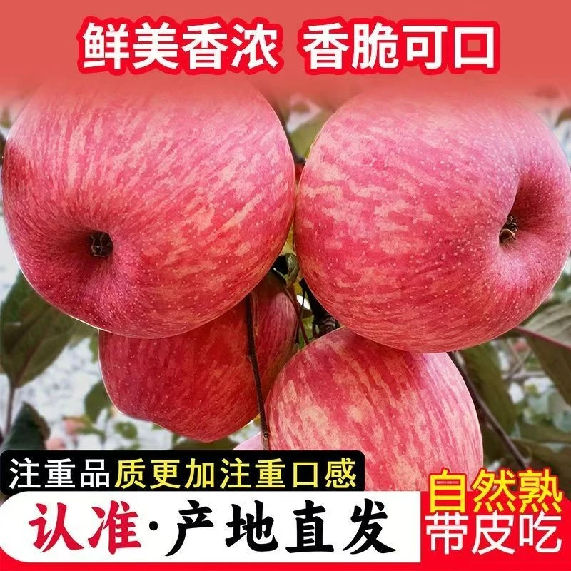 陕西红富士冰糖心苹果新鲜当季脆甜多汁包邮五斤十斤