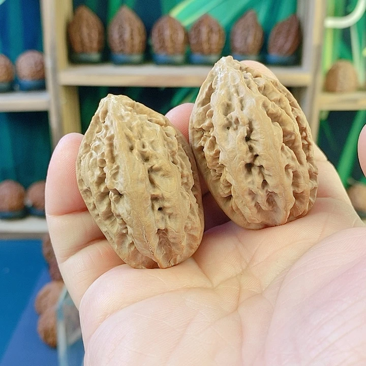 文玩核桃吊坠舒兰铠甲