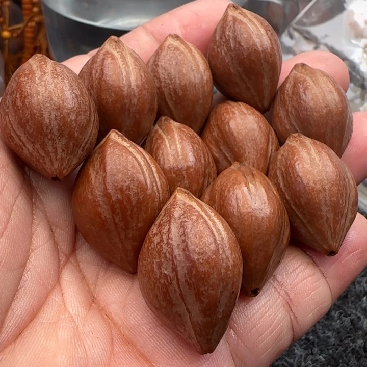 橄榄核手串橄榄核原皮铁盒三面佛