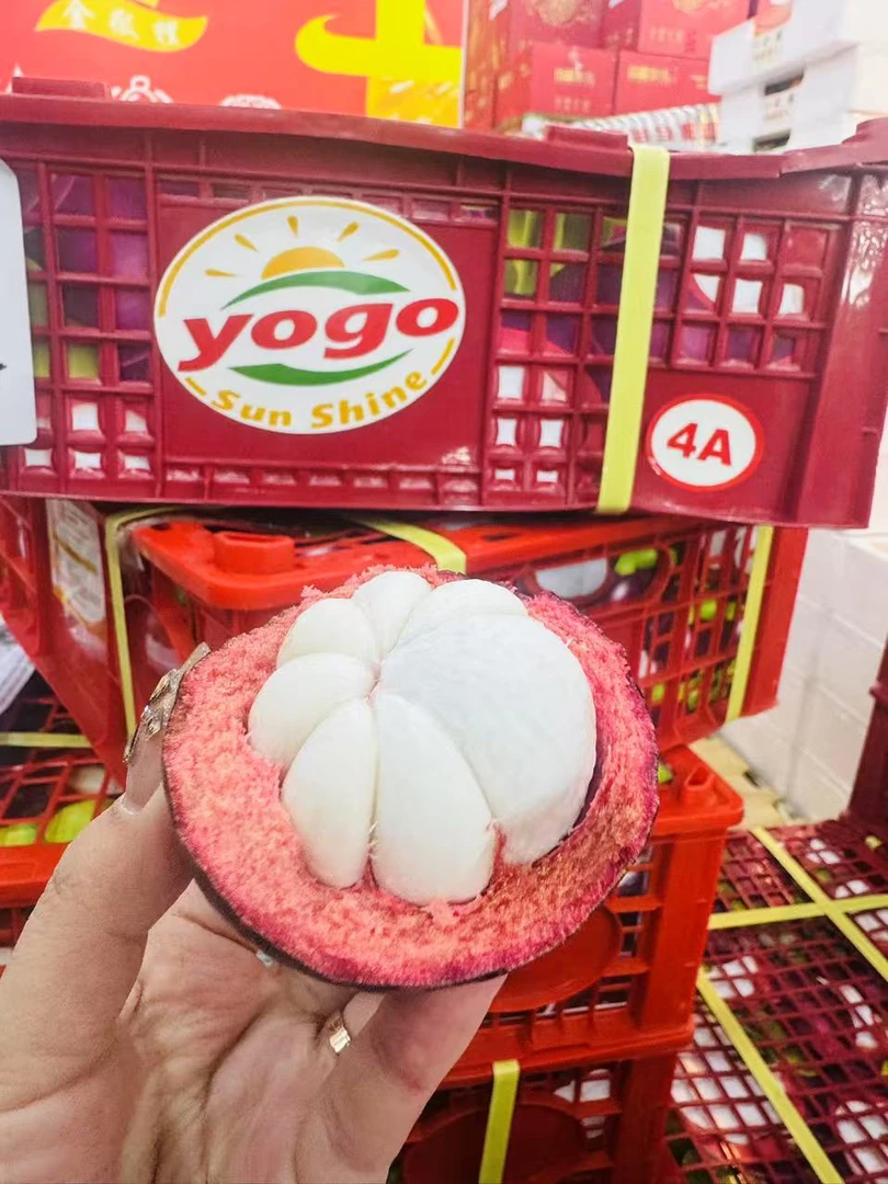yogo4A空运山竹3斤（坏果三颗内没有售后）