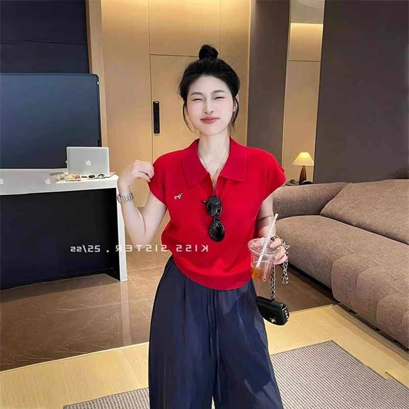 红色小狗刺绣Polo领针织衫女夏季设计感减龄独特翻领百搭短袖上衣