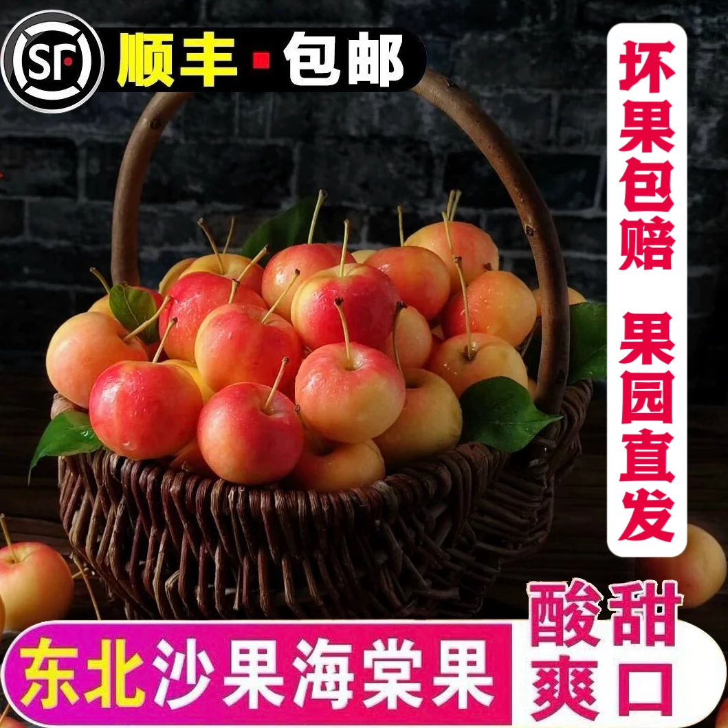 【顺丰包邮】正宗东北老品种黄太平沙果酸甜可口产地直发非鸡心果