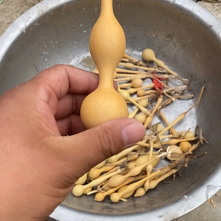 予***光手把精品文玩葫芦