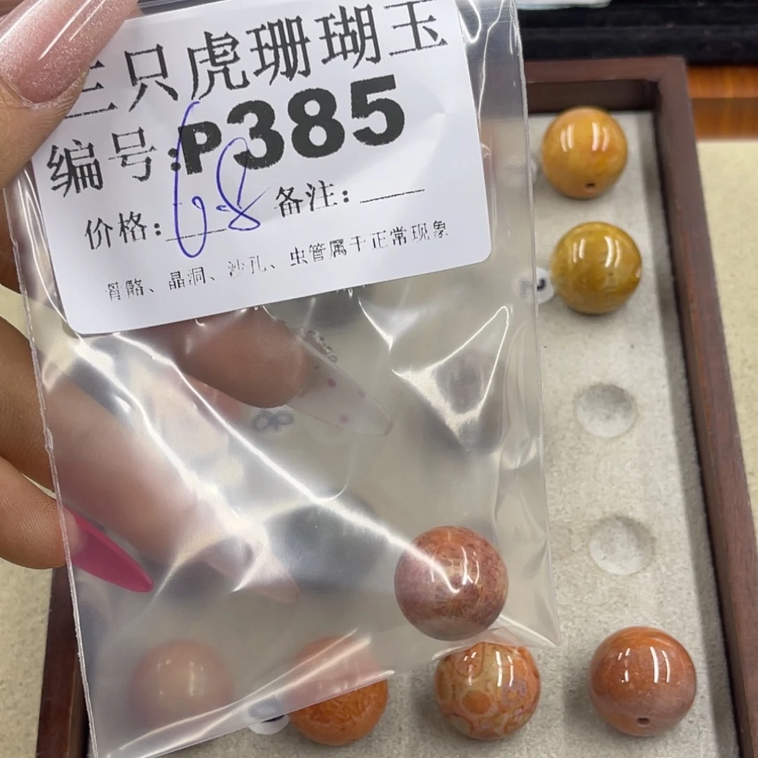 *****硅化珊瑚（珊瑚玉）h未镶嵌