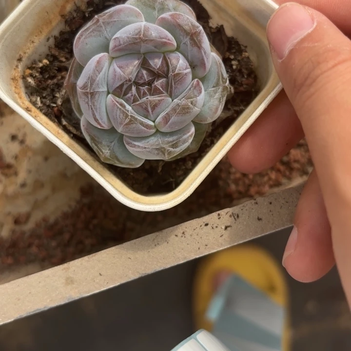 闪吼446呀呀呀呀呀呀呀呀呀呀呀