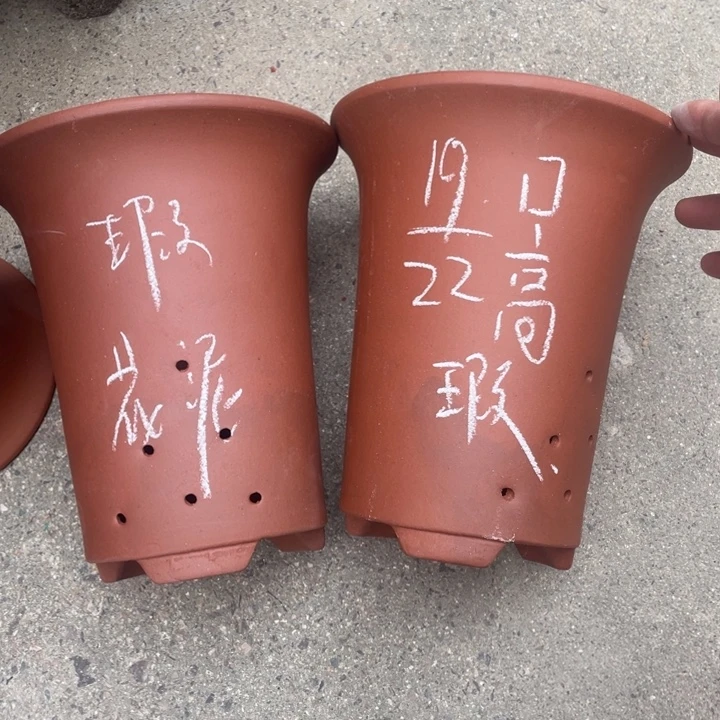 周深周深周深周深