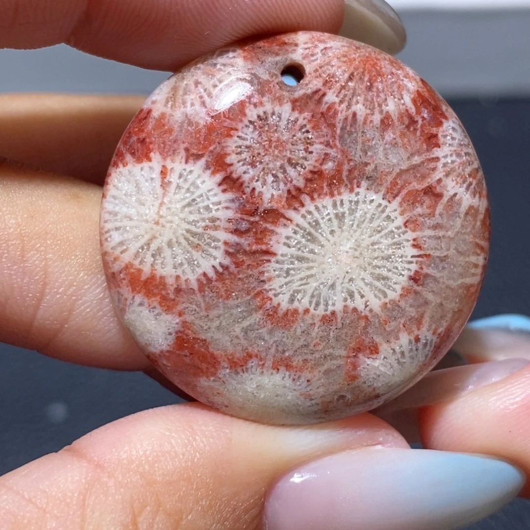 硅化珊瑚（珊瑚玉）颈饰合金2774