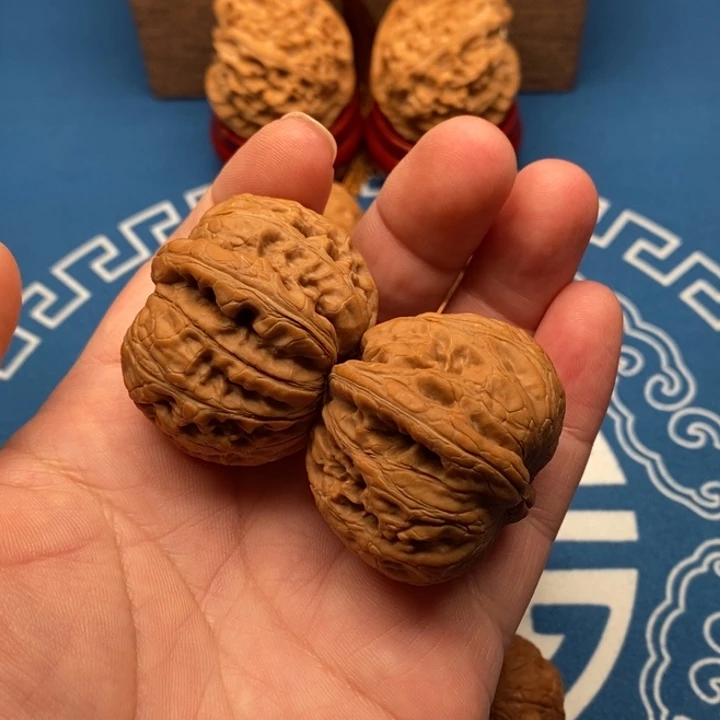 浩***荡大叶紫檀（黑酸枝木类）