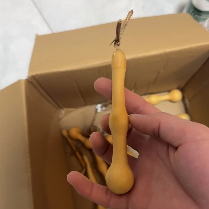 厚***发精品老皮杆子周正