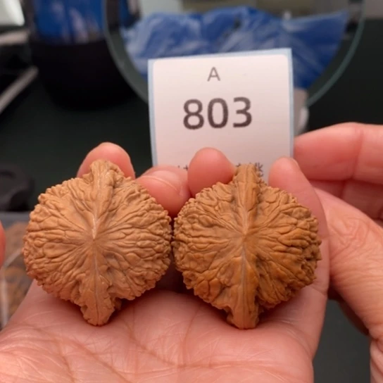 文玩核桃把件40.5绣球803