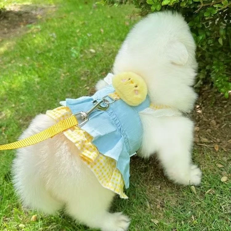 狗狗衣服牵引绳可爱胸背带猫咪小型犬洋气牵引背心博美草莓熊