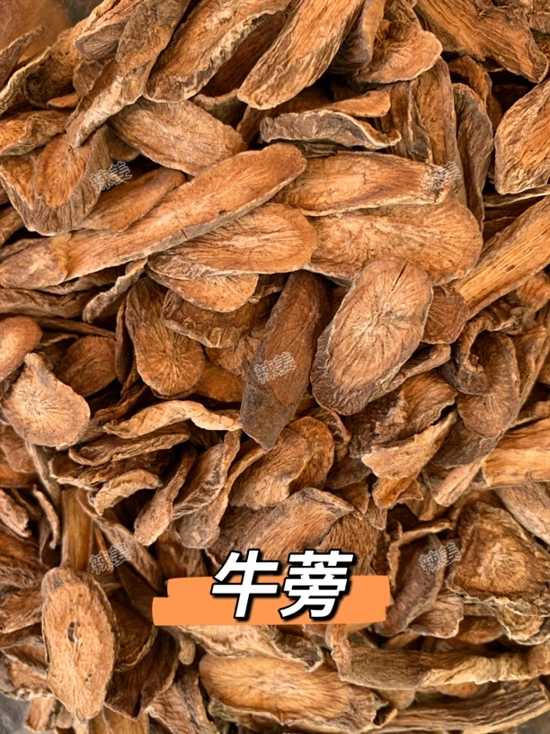 辣姜精选 牛蒡