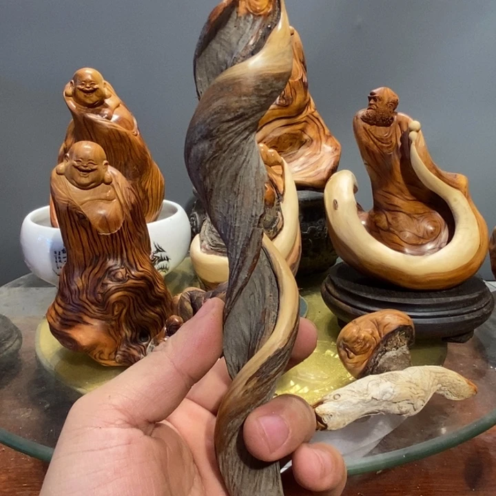 释***和香榧木崖柏等自然景区的