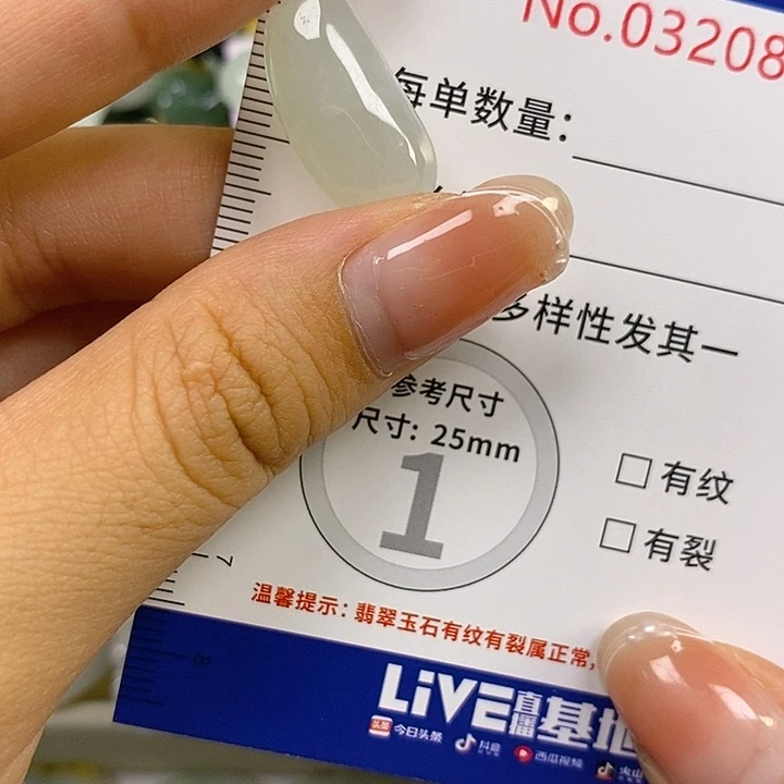 双***翡翠未镶嵌颈饰翡翠