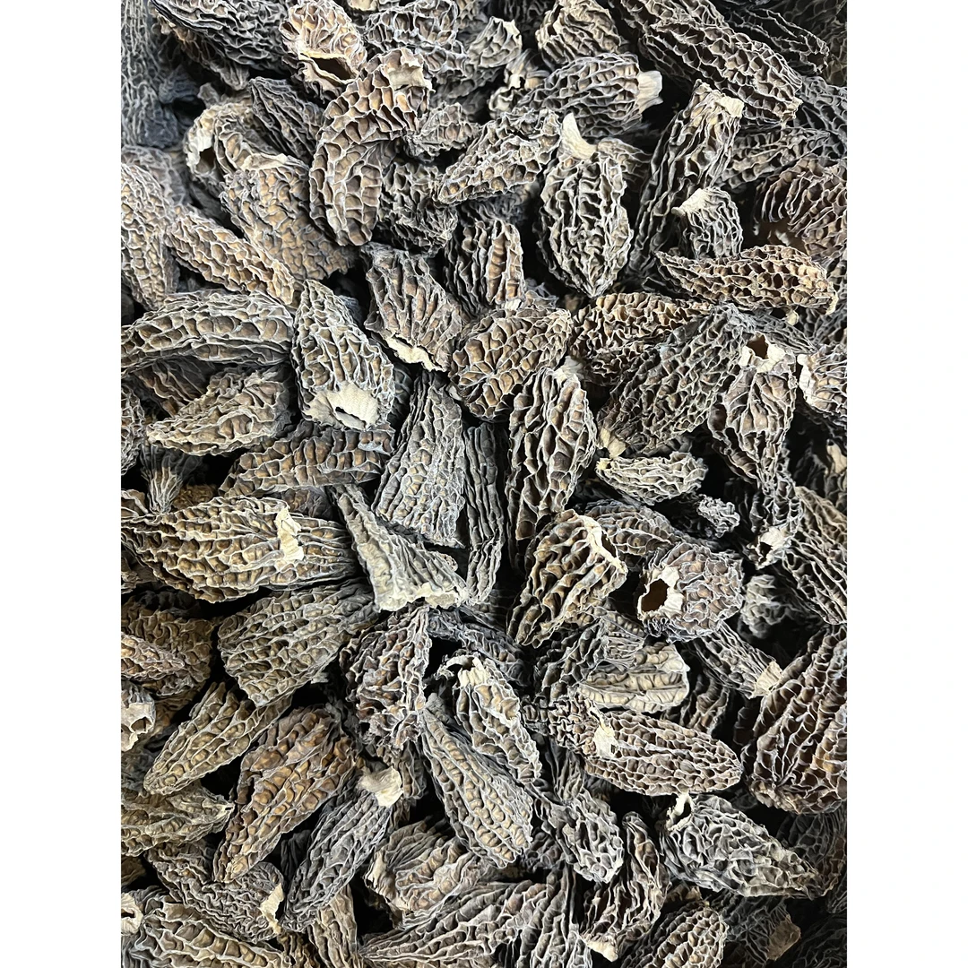 云南头茬厚肉羊肚菌干货煲汤食材