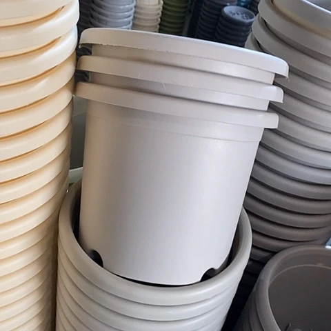 树脂微瑕3号10个无托灰白