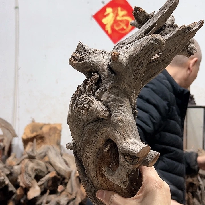 柏木盯*喵我们的生活也是如此