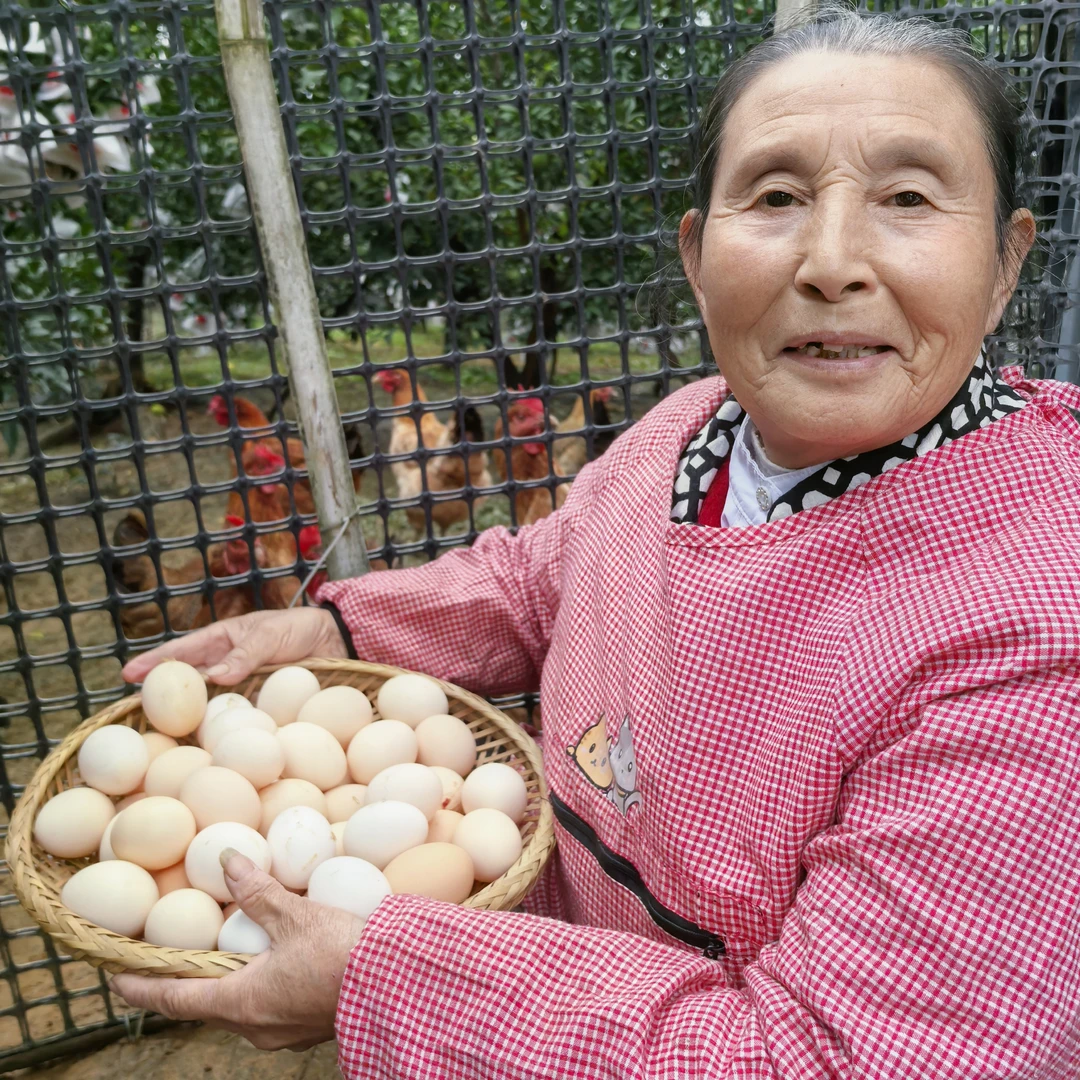【买30送20】50枚农家新鲜散养土鸡蛋农村鸡蛋现捡整箱45±5克/枚