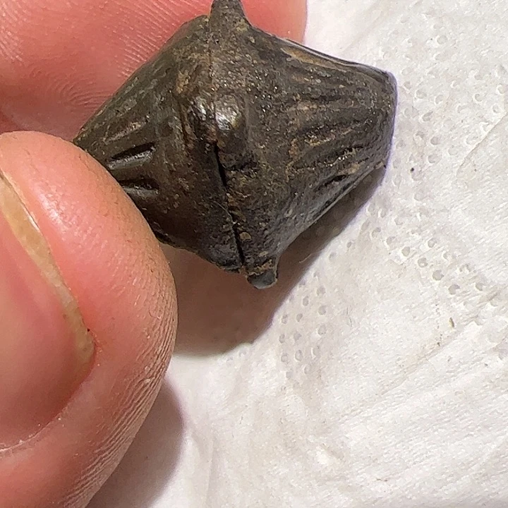 香榧木齐*在这里的时候