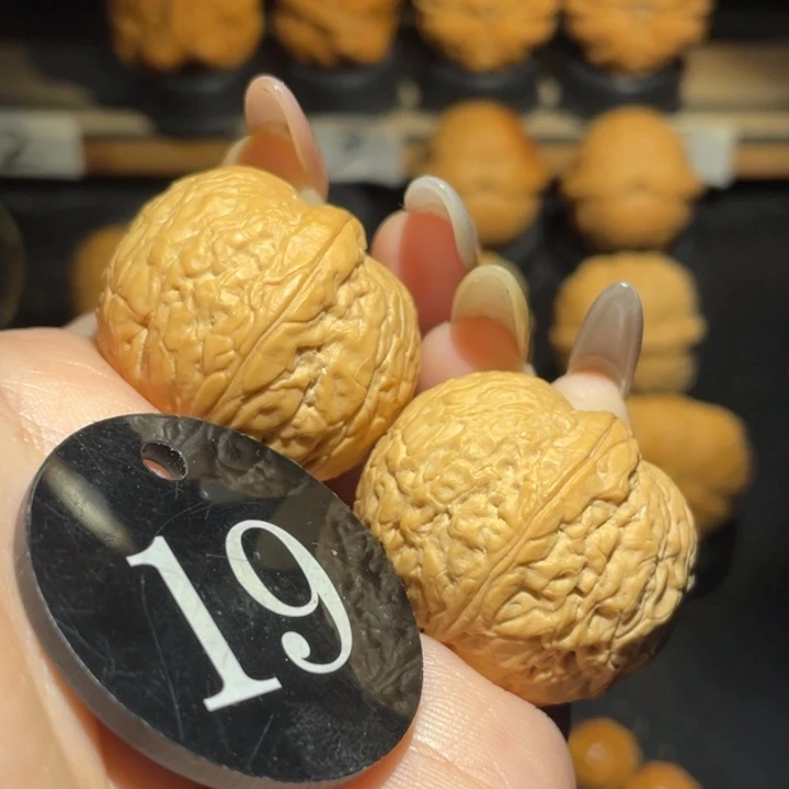 粗筋元宝32尺寸核桃。