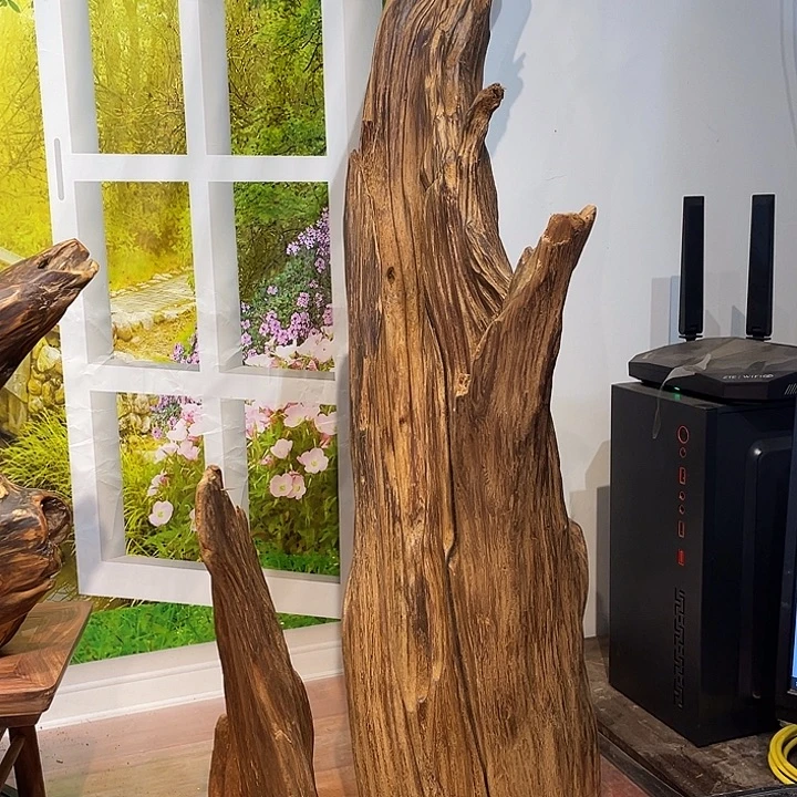 广***花木每一个人都会在一起1088