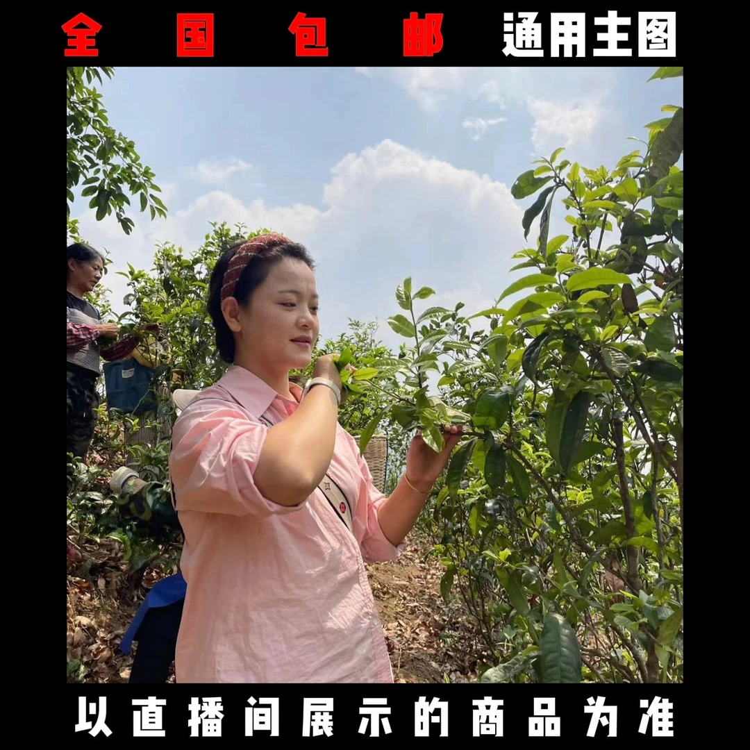 2025年倚邦大树晒红红茶100g