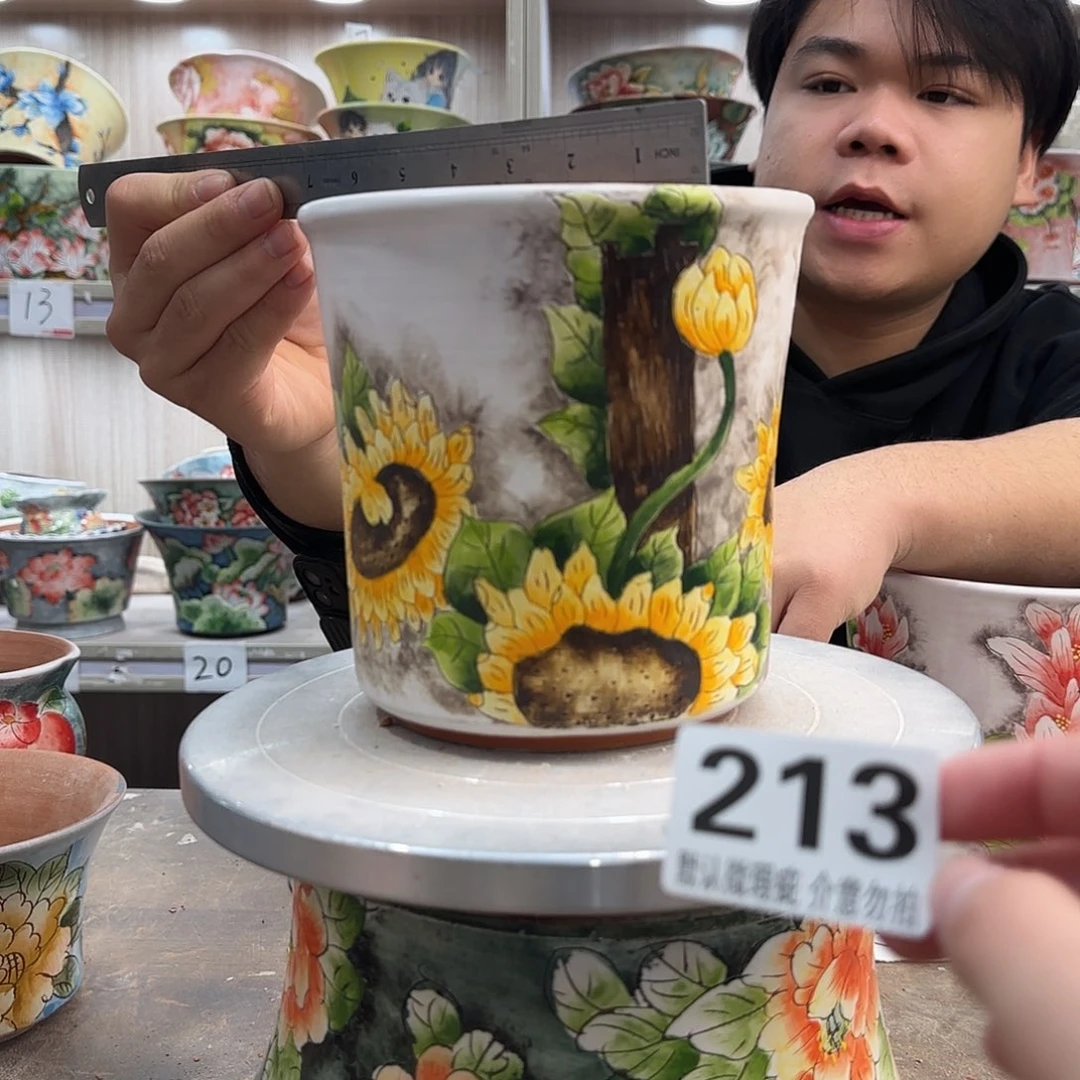 瑕疵瑕疵瑕疵瑕疵213