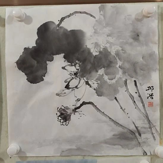 国画中国画花鸟画