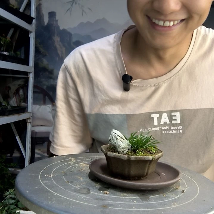 ?****ꪝ中青园艺一物一拍193