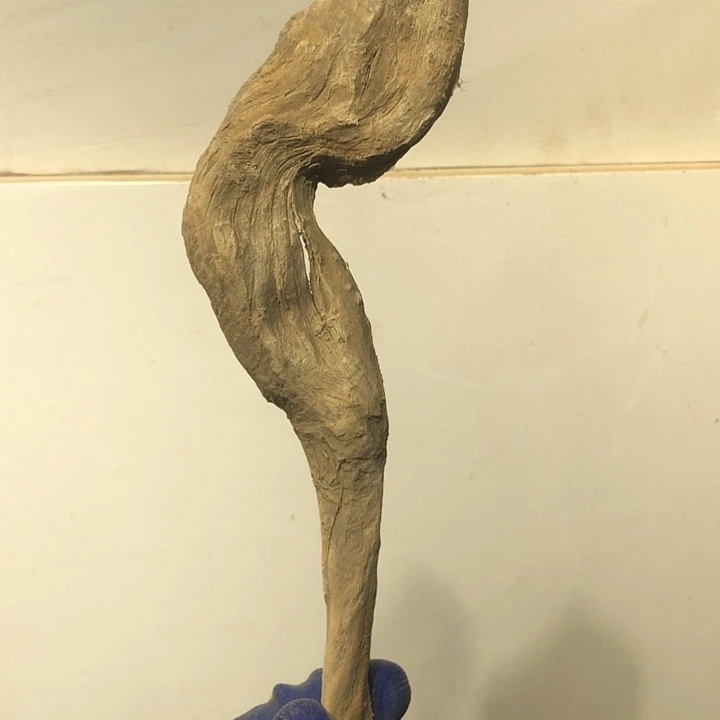 有机玻璃细**营太行崖柏