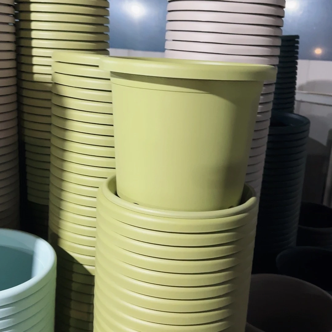 塑料四季盆4号果绿10个带托盘