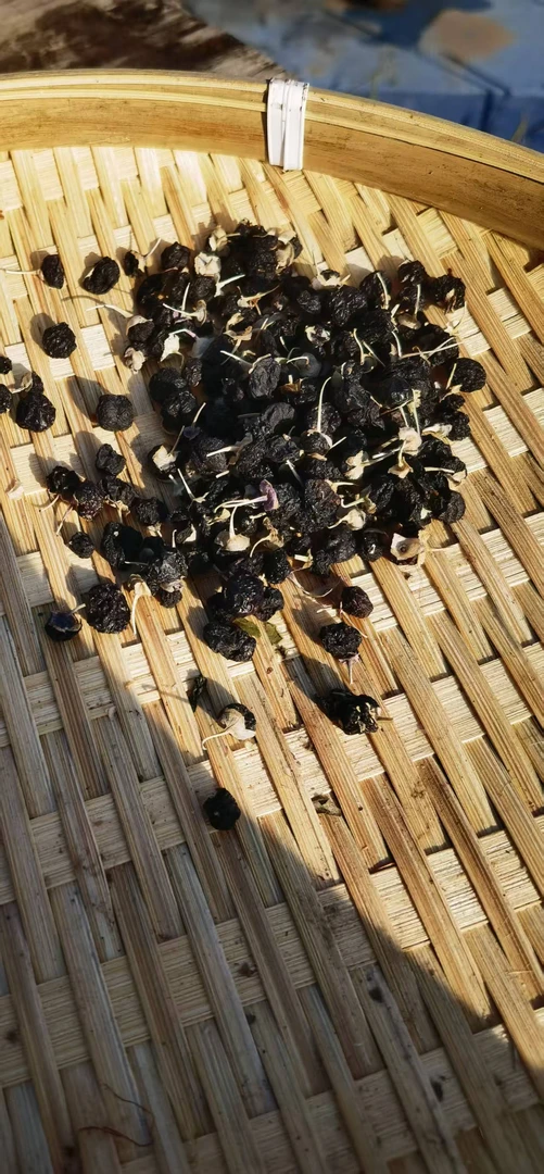 黑枸杞 初级农产品 1包500g