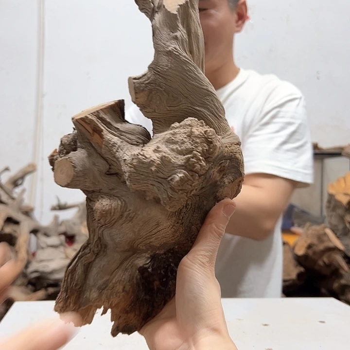 柏木虎**.我们的生活也是如此