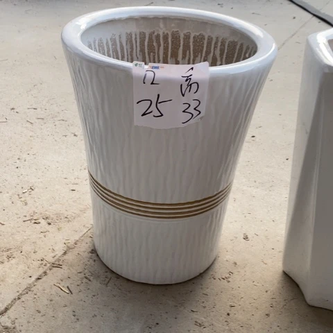 低腰白金腰线中 口25/33