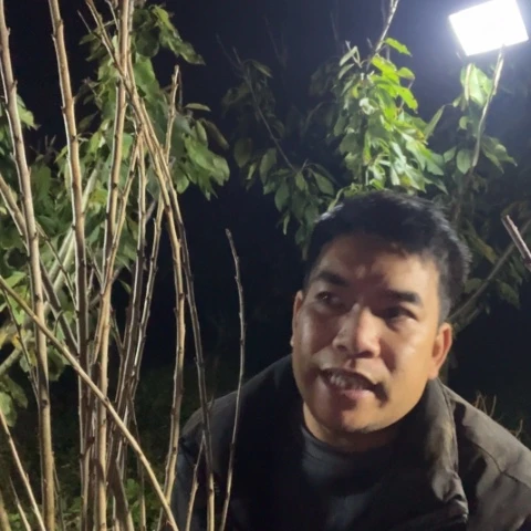 星***念当前无花栽培后可以开花81