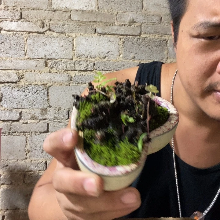完全开放退款拉黑一物一拍209